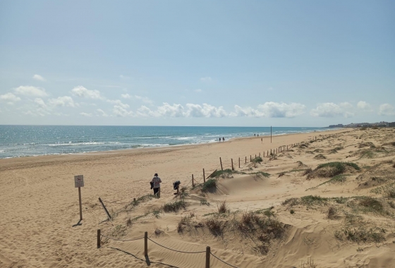 Rynek wtórny - Bungalow - Guardamar del Segura - Urbanizaciones