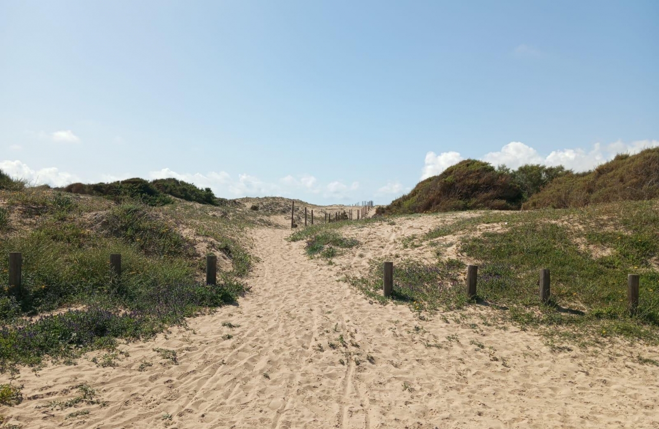 Rynek wtórny - Bungalow - Guardamar del Segura - Urbanizaciones
