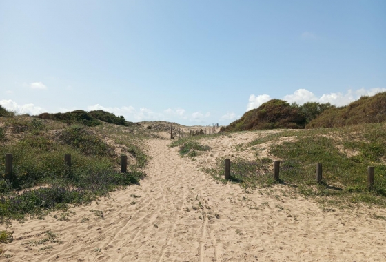 Rynek wtórny - Bungalow - Guardamar del Segura - Urbanizaciones