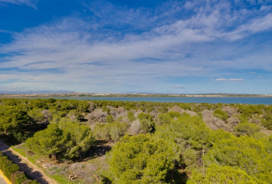 Resale - Apartment - Torrevieja - San Luis