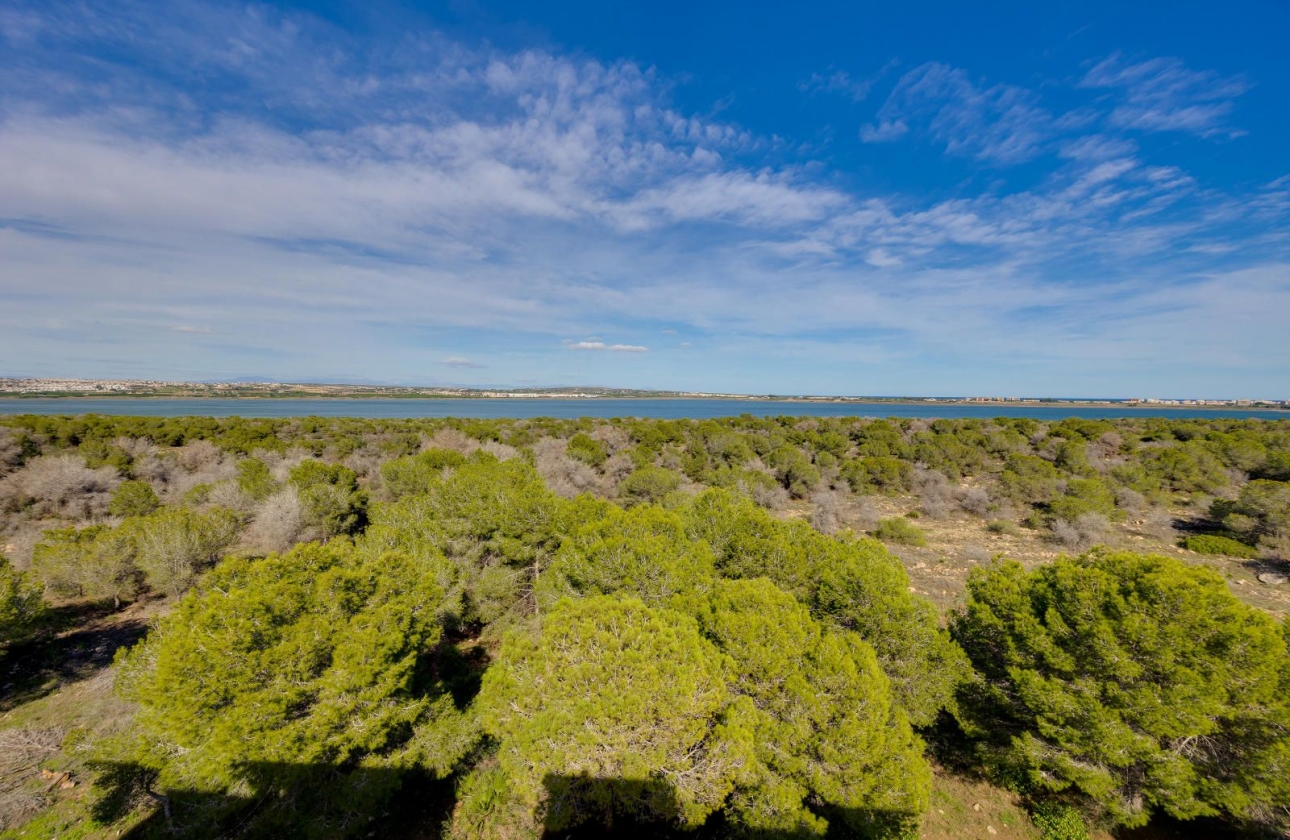 Resale - Apartment - Torrevieja - San Luis