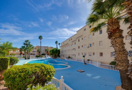Resale - Apartment - Torrevieja - San Luis
