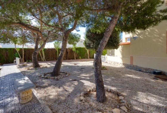 Resale - Apartment - Torrevieja - San Luis