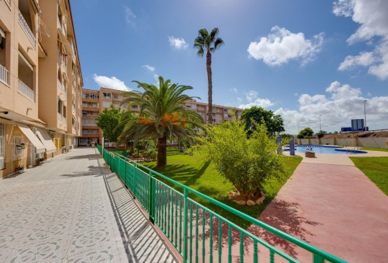 Rynek wtórny - Penthouse - Torrevieja - Parque de las Naciones