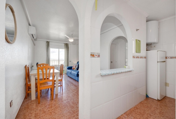 Rynek wtórny - Penthouse - Torrevieja - Parque de las Naciones