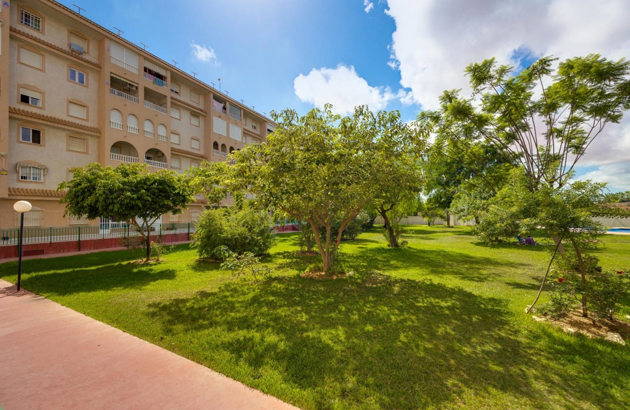 Rynek wtórny - Penthouse - Torrevieja - Parque de las Naciones