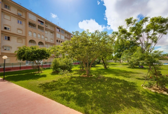 Rynek wtórny - Penthouse - Torrevieja - Parque de las Naciones