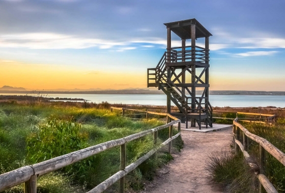 Rynek wtórny - Apartament - Torrevieja - La Mata