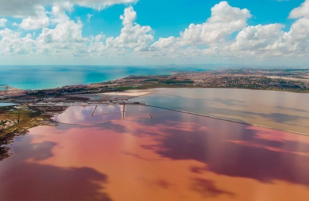 Rynek wtórny - Apartament - Torrevieja - La Mata