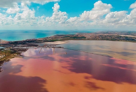 Rynek wtórny - Apartament - Torrevieja - La Mata