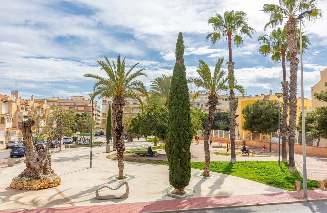 Rynek wtórny - Apartament - Torrevieja - Estacion de autobuses