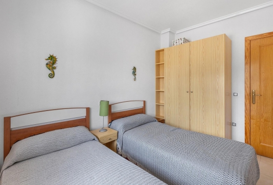 Rynek wtórny - Apartament - Torrevieja - Estacion de autobuses