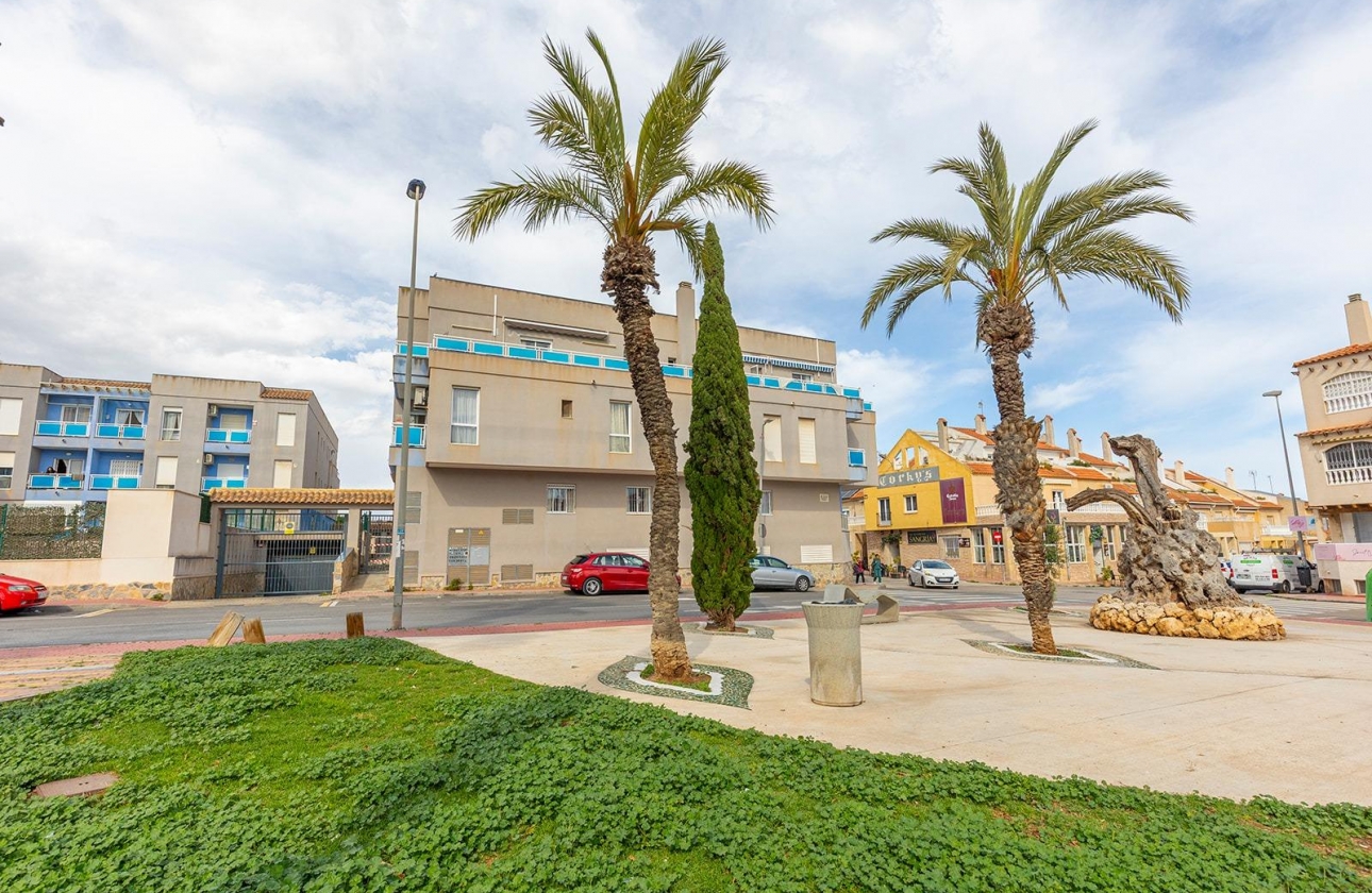 Rynek wtórny - Apartament - Torrevieja - Estacion de autobuses