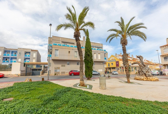 Rynek wtórny - Apartament - Torrevieja - Estacion de autobuses