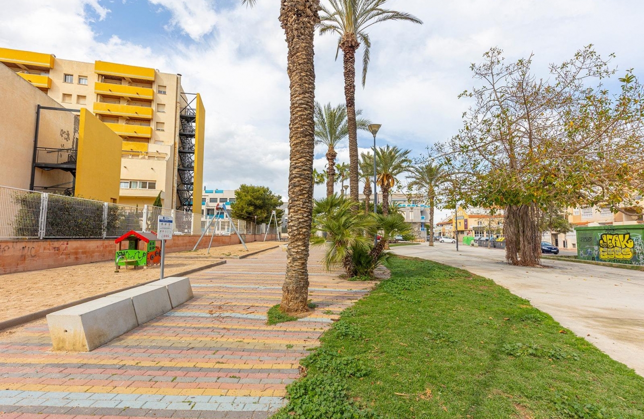 Rynek wtórny - Apartament - Torrevieja - Estacion de autobuses