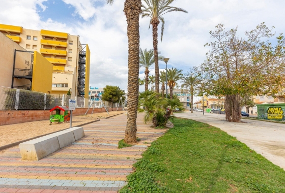 Rynek wtórny - Apartament - Torrevieja - Estacion de autobuses