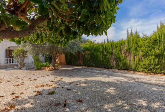 Rynek wtórny - Villa - Torrevieja - El Chaparral