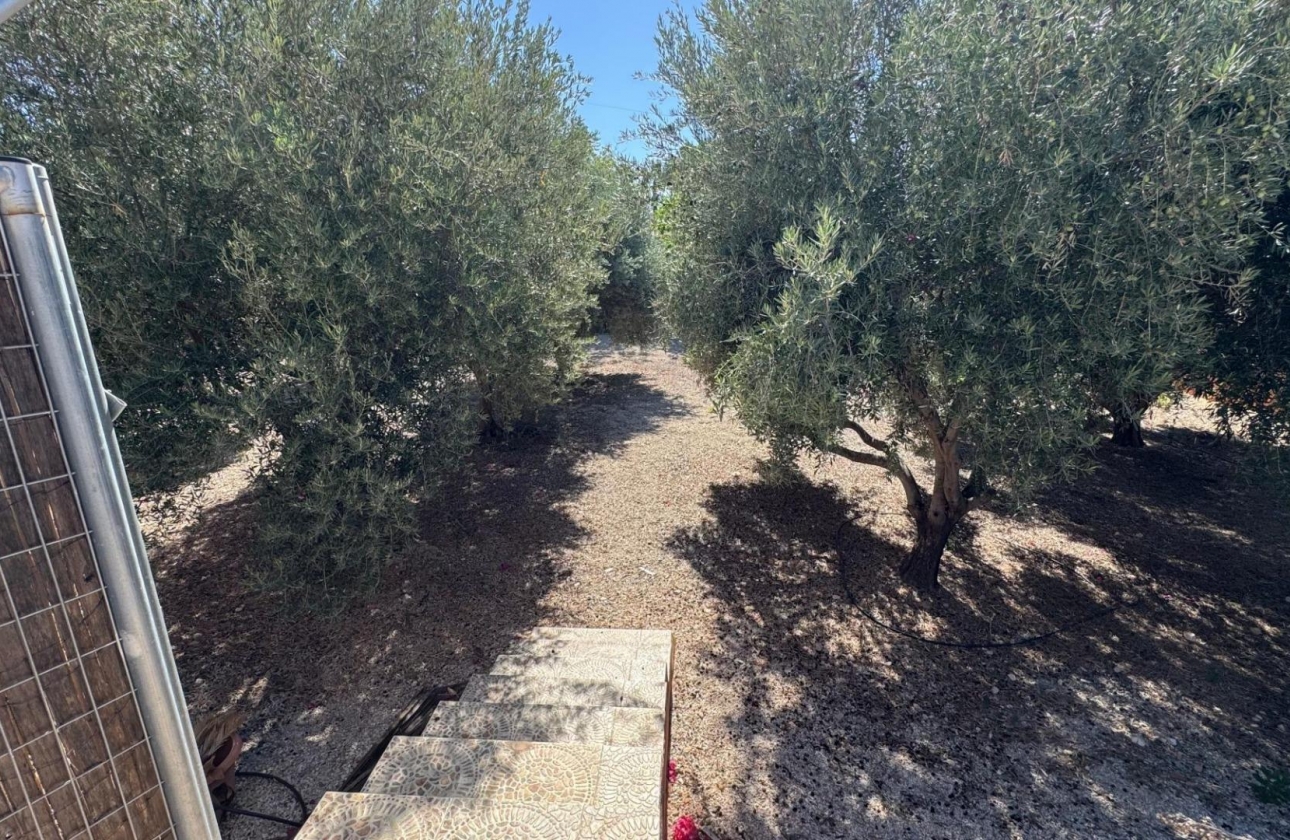 Reventa - Country House - Albatera - BARRANCO SAN CAYETANO