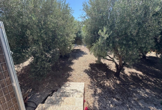 Reventa - Country House - Albatera - BARRANCO SAN CAYETANO