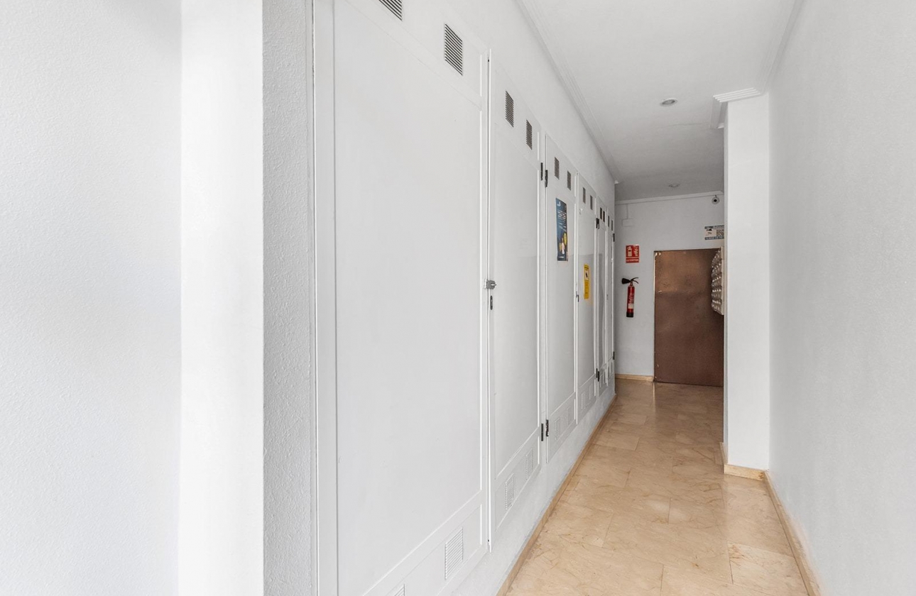 Reventa - Apartment - Torrevieja - Centro