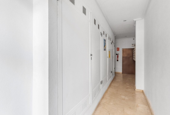 Reventa - Apartment - Torrevieja - Centro