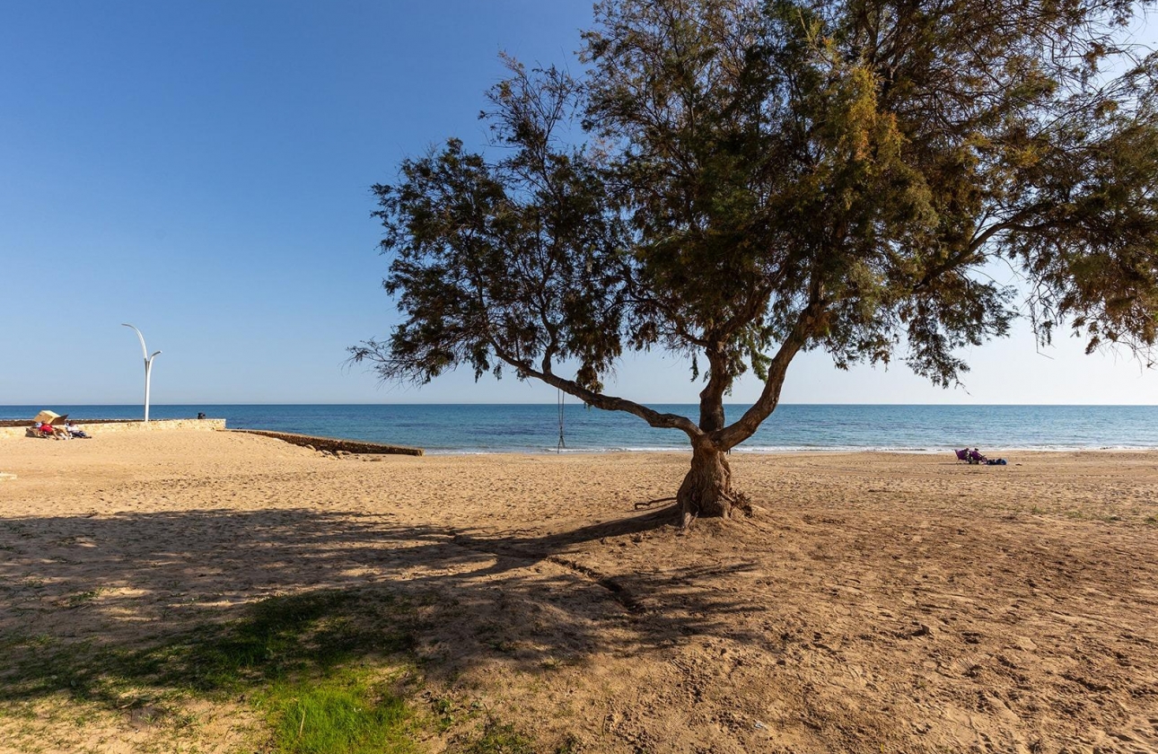 Resale - Apartment - Torrevieja - La Mata