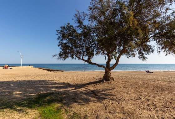 Resale - Apartment - Torrevieja - La Mata