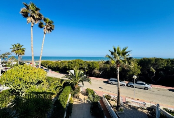 Rynek wtórny - Dupleks - Guardamar del Segura - Los secanos