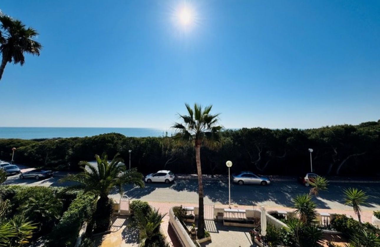 Rynek wtórny - Dupleks - Guardamar del Segura - Los secanos