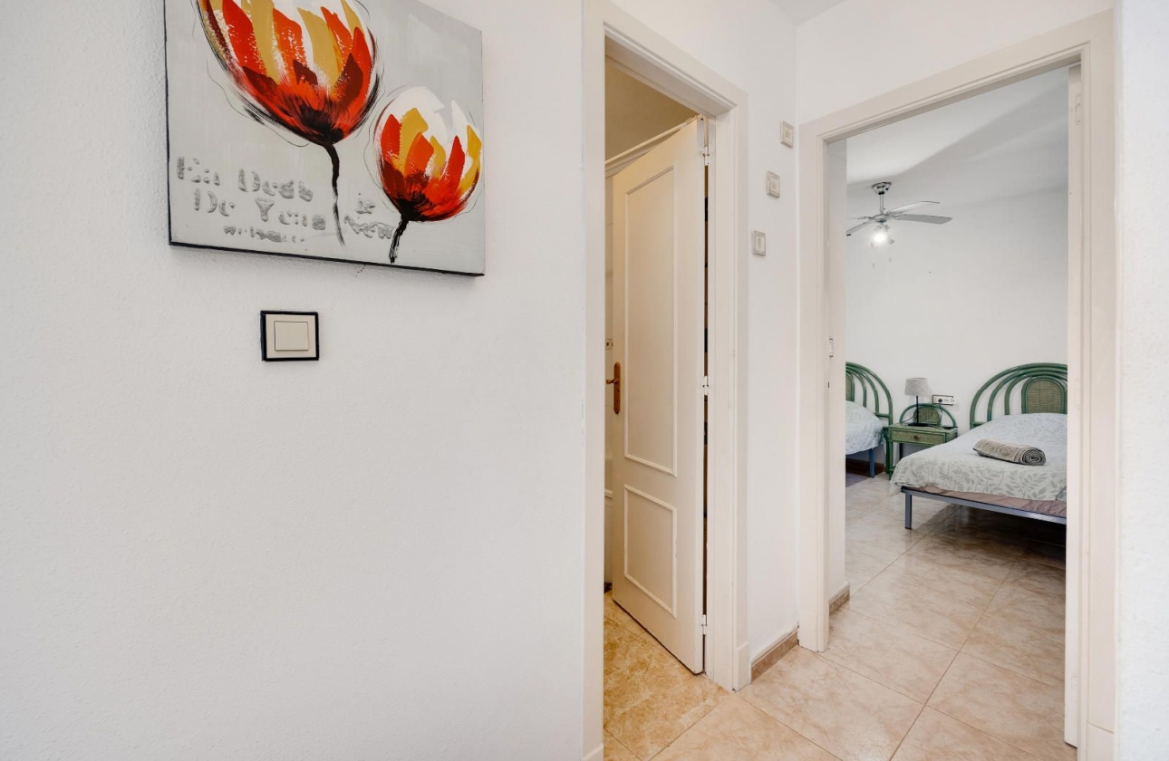 Rynek wtórny - Bungalow - Torrevieja - Carrefour