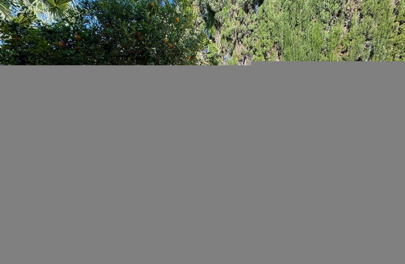 Rynek wtórny - Villa - Torrevieja - Los Balcones