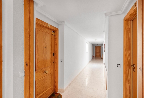 Reventa - Apartment - Torrevieja - Estacion de autobuses