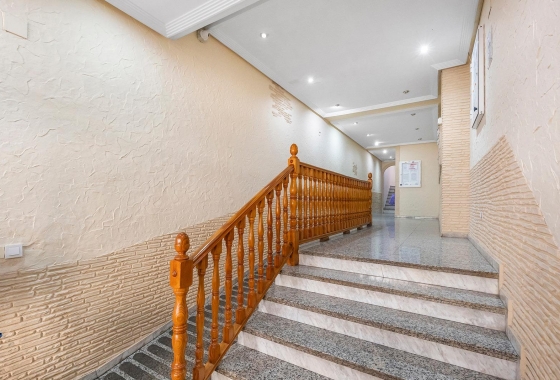 Reventa - Apartment - Torrevieja - Estacion de autobuses