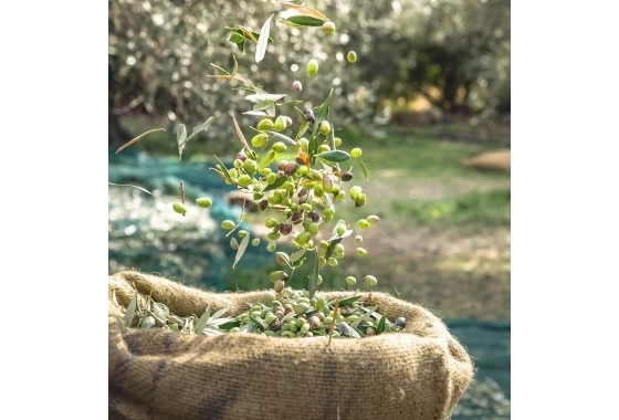 Rynek wtórny - Wiejska posiadłość - Puerto Lumbreras - Nogalte