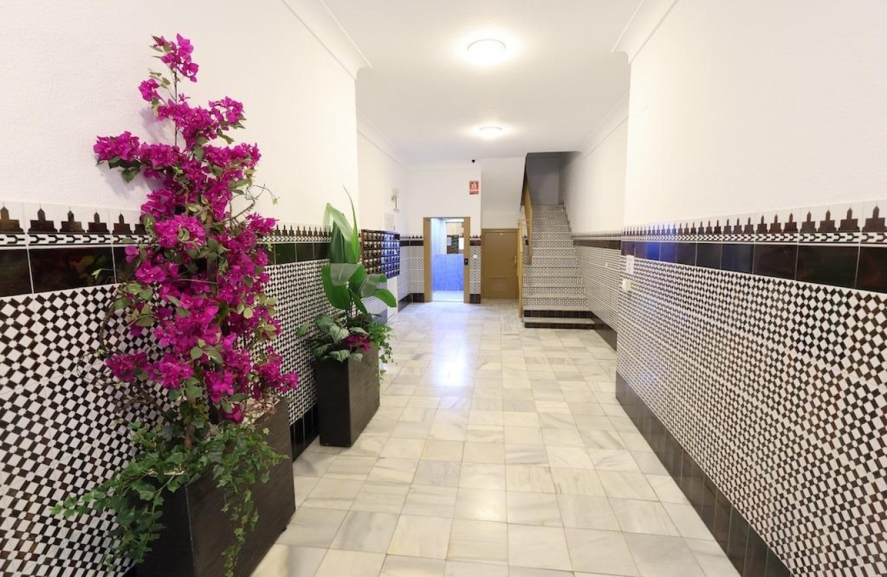 Reventa - Apartment - Torrevieja - Centro