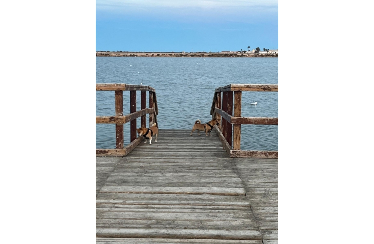 Rynek wtórny - Szeregowiec - San Pedro del Pinatar - Los Antolinos