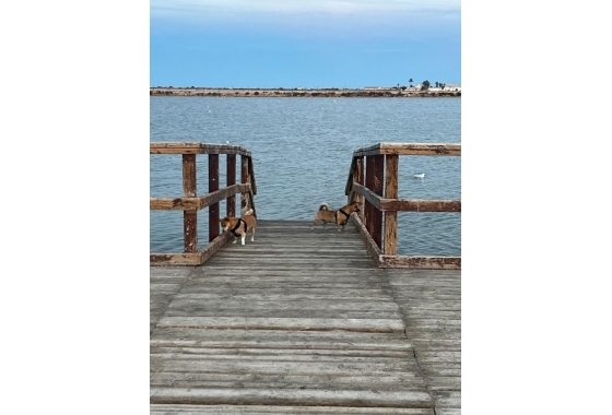 Rynek wtórny - Szeregowiec - San Pedro del Pinatar - Los Antolinos