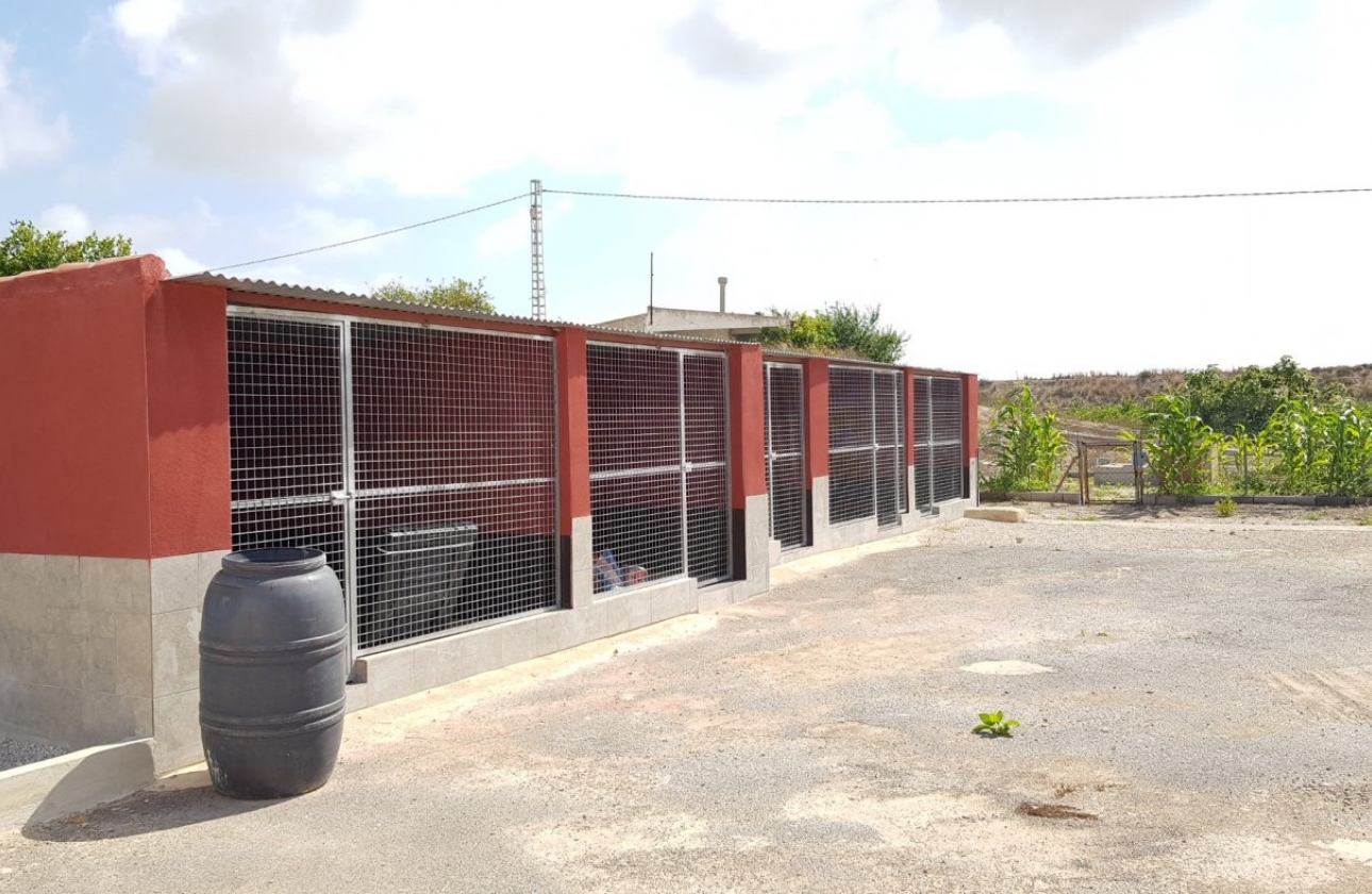 Resale - Country House - Los Montesinos