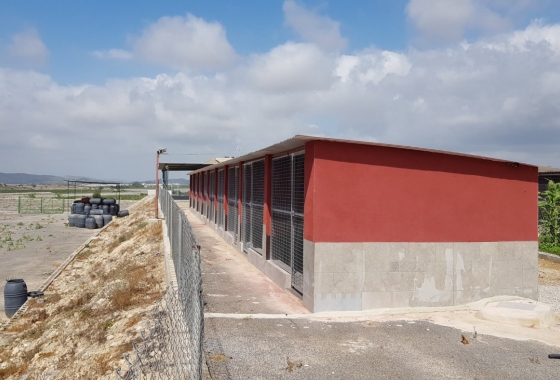 Resale - Country House - Los Montesinos