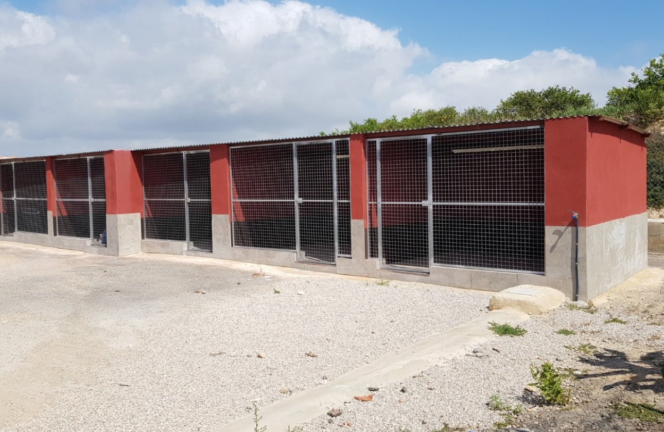 Resale - Country House - Los Montesinos