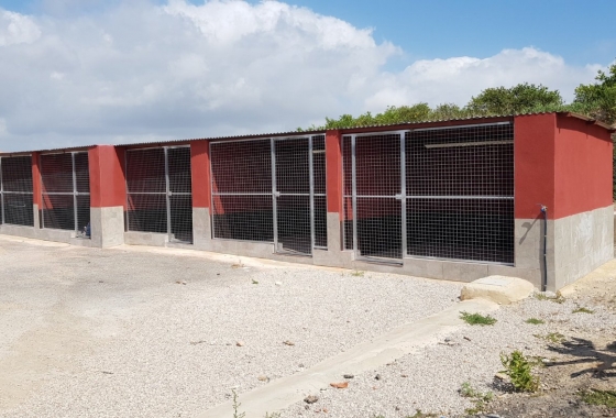 Resale - Country House - Los Montesinos