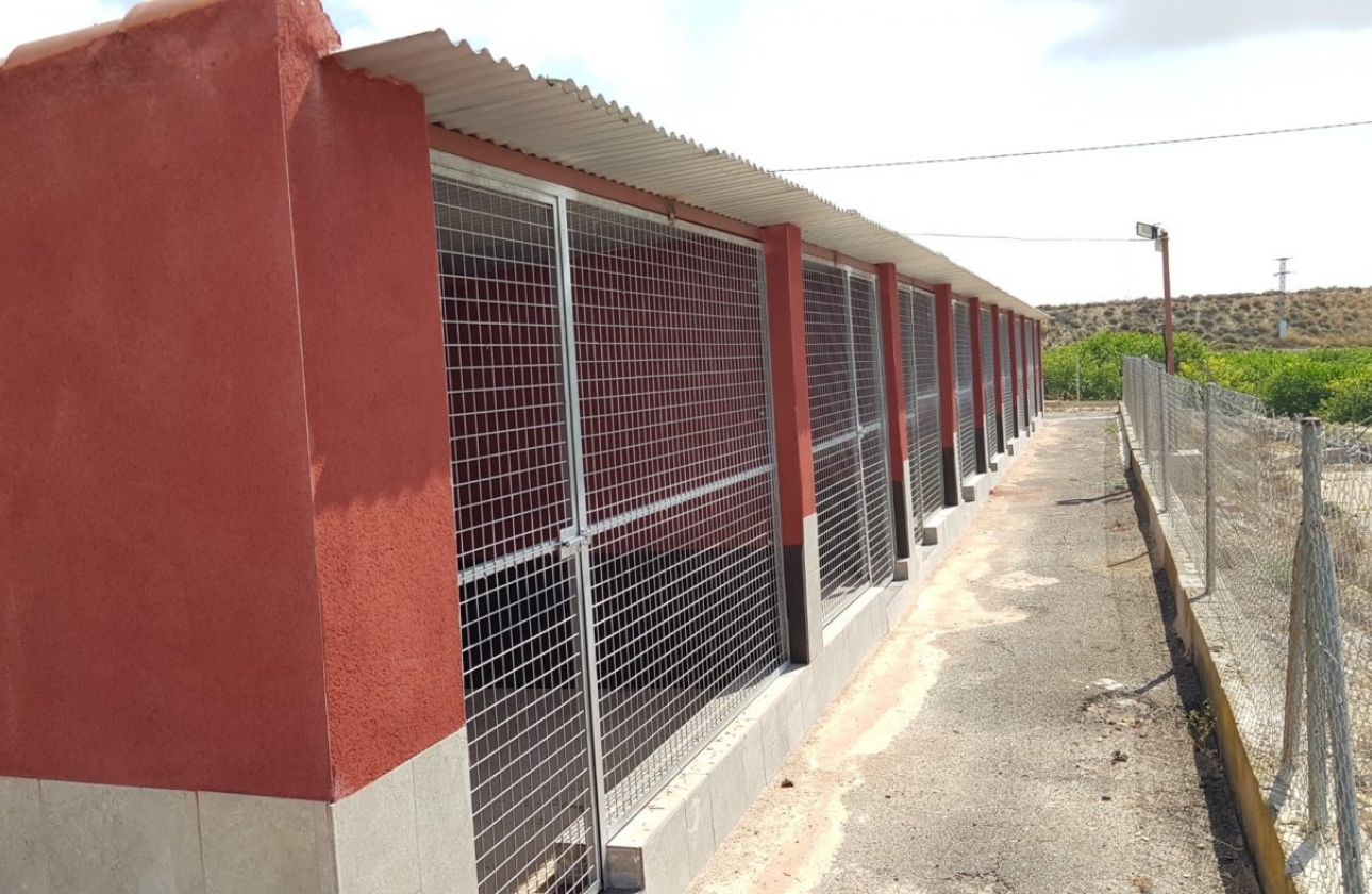 Resale - Country House - Los Montesinos