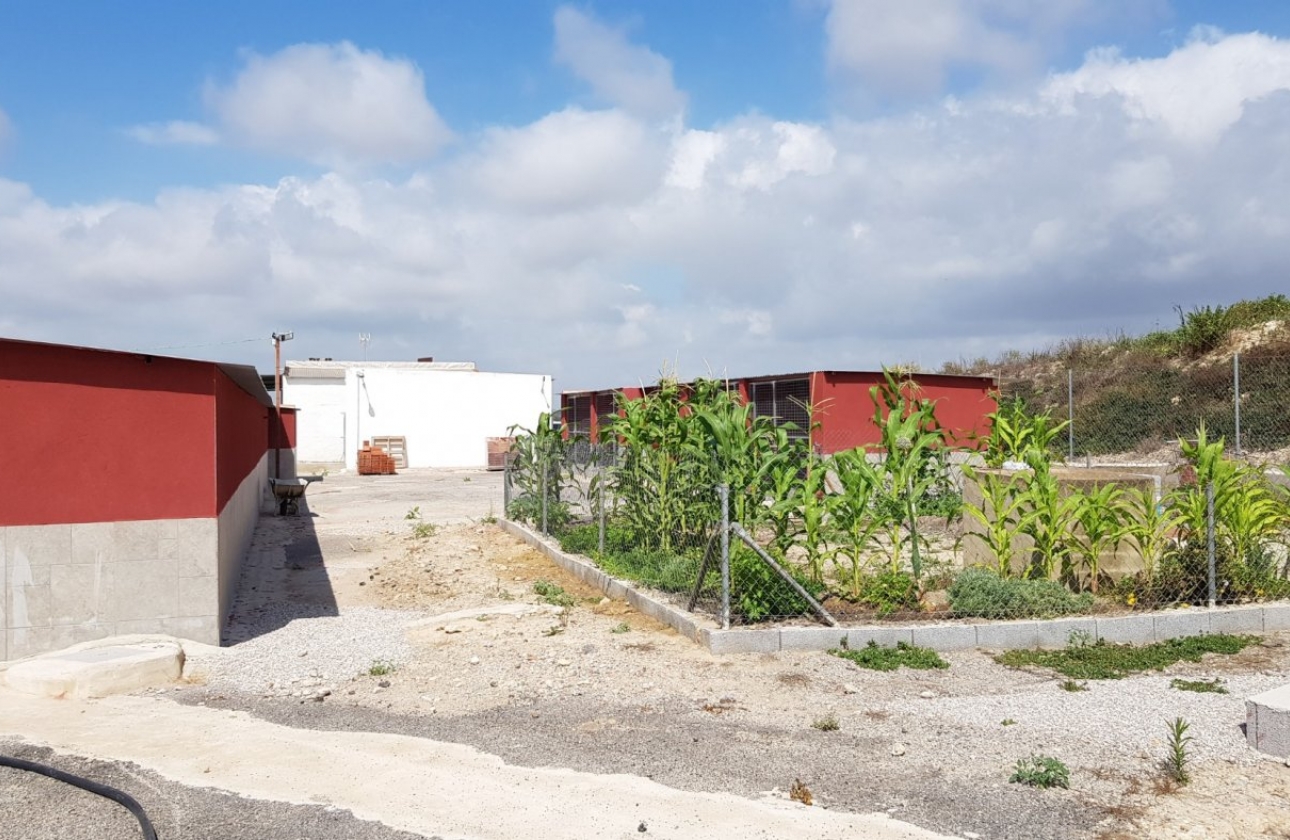 Resale - Country House - Los Montesinos