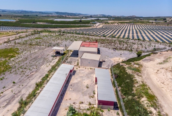 Resale - Country House - Los Montesinos