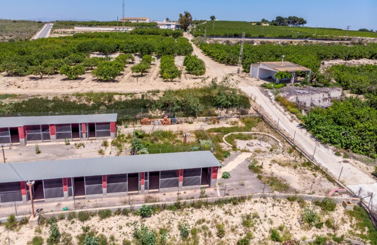 Resale - Country House - Los Montesinos