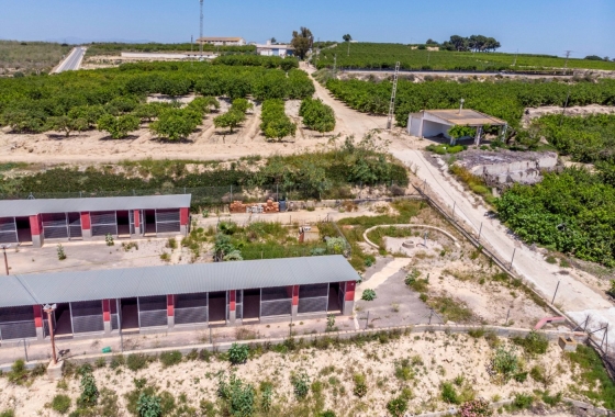 Resale - Country House - Los Montesinos