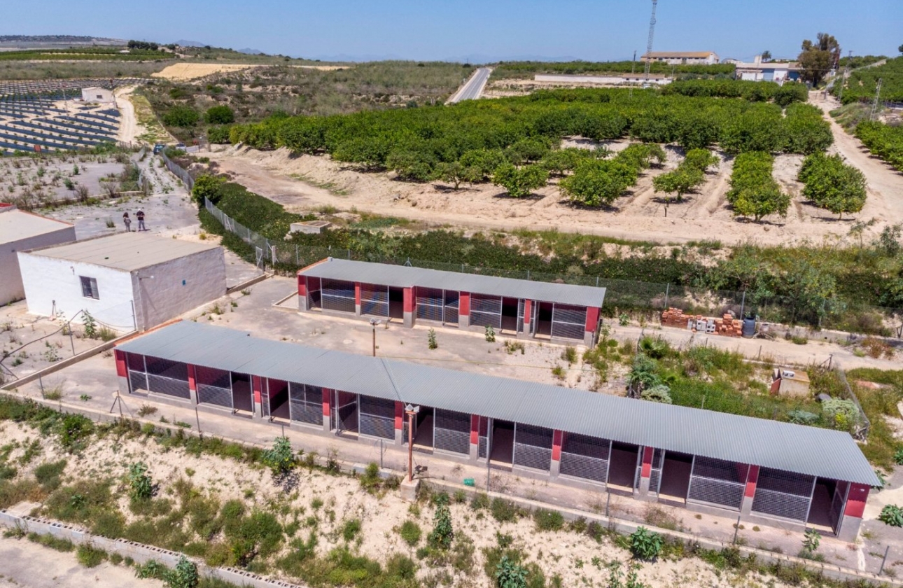 Resale - Country House - Los Montesinos