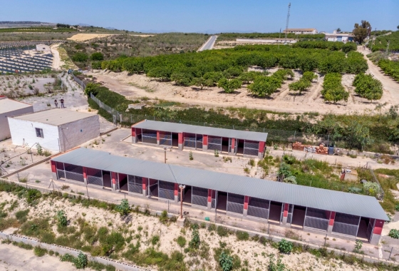 Resale - Country House - Los Montesinos