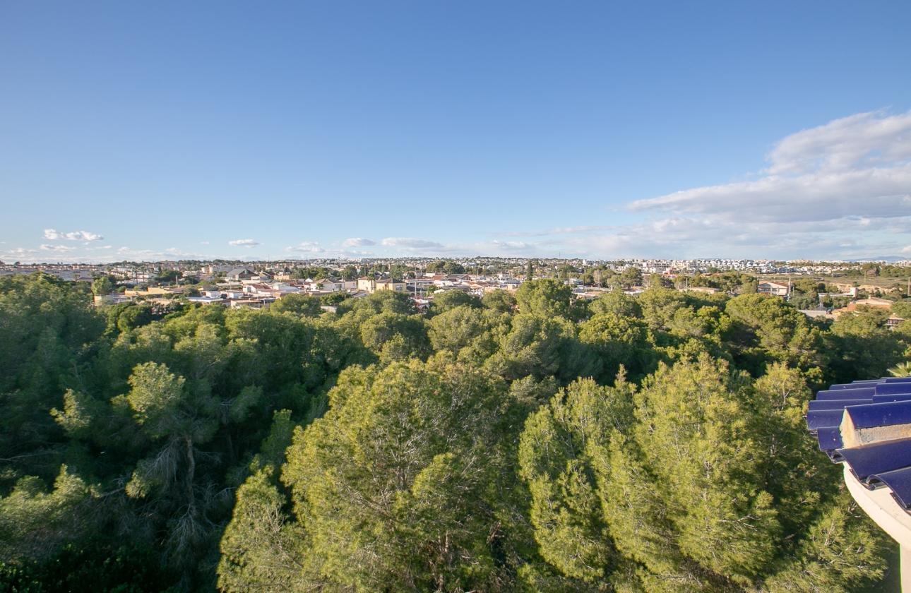 Rynek wtórny - Apartament - Orihuela Costa - Lomas de Cabo Roig