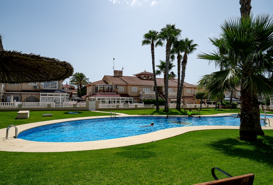 Rynek wtórny - Apartament - Orihuela Costa - Zenia Mar